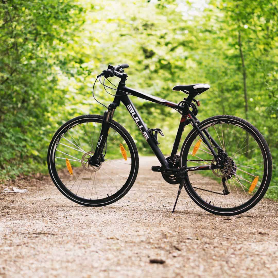 brand identity ceccottino